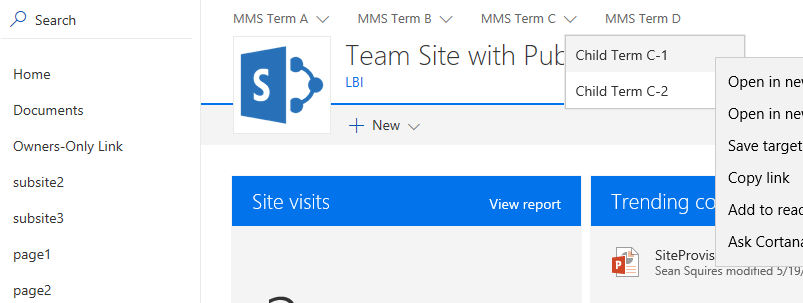 managednav-global.png
