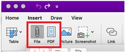 Print to File in OneNote Mac.jpg