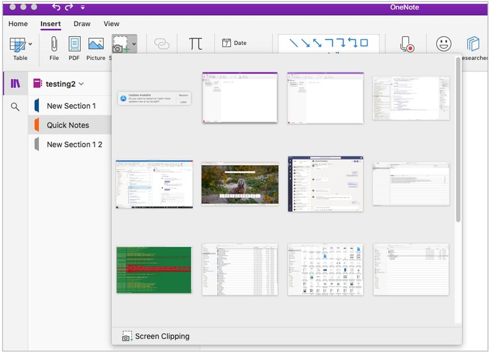 Insert Screenshot on Mac.jpg