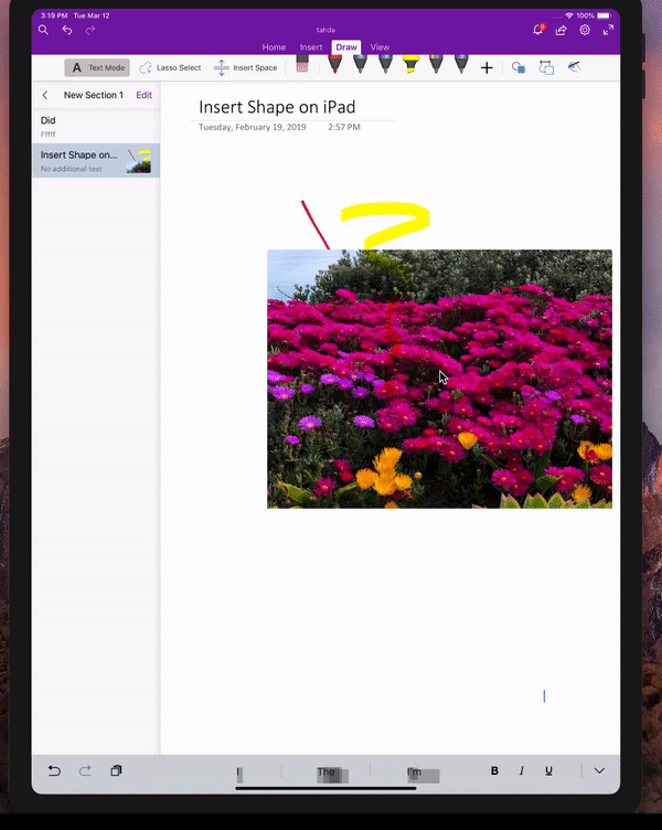 Set Image to Background.gif