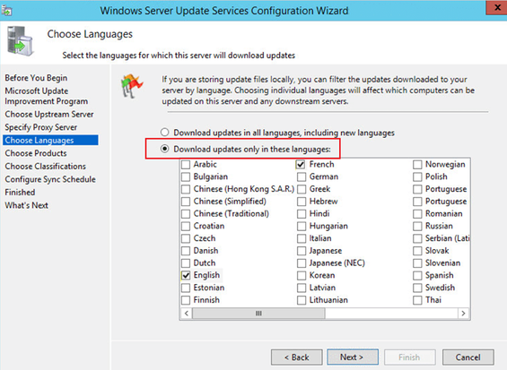 01_wsus-wizard.png