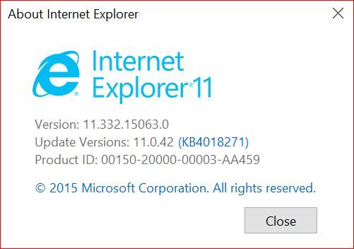 IE version.JPG