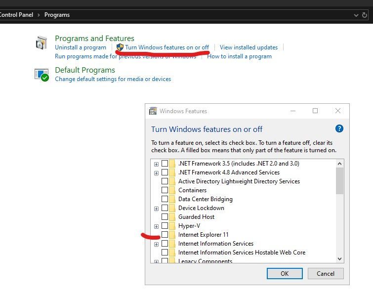 Delete IE Control Panel.jpg