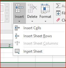 Insert.JPG