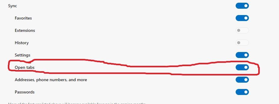 Option in sync 2.jpg