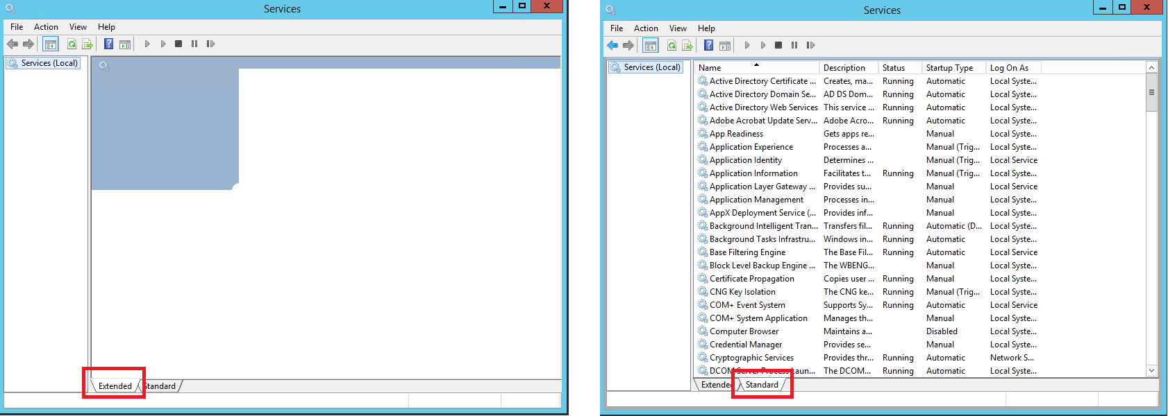 Extended tabs blank | Microsoft Community Hub