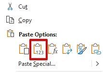 PasteAsValues.jpg