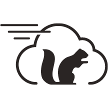 Squirrel Cloud POS.png