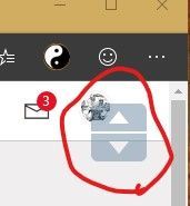 Dual.jpg