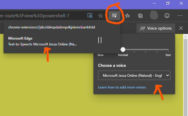 [FIXED] Read Aloud's voice appears in the Global Media Controls ...