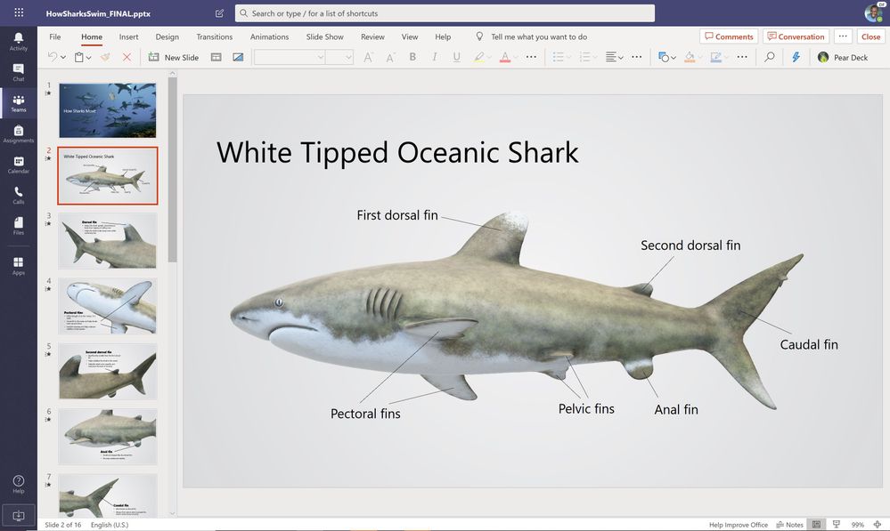 new-file-viewer.jpg