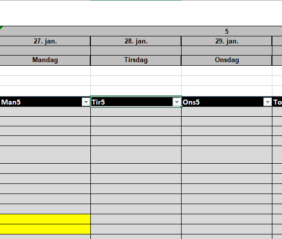 project manager week 5.PNG