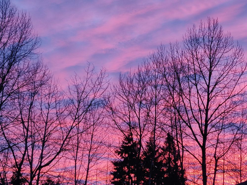 sunrise.jpg