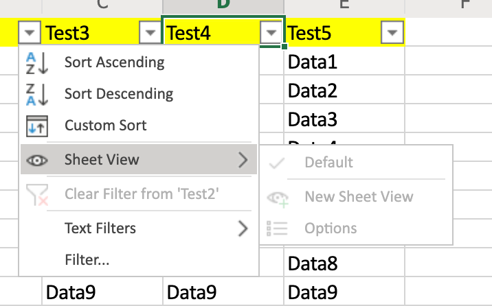 Sheet View 2.png