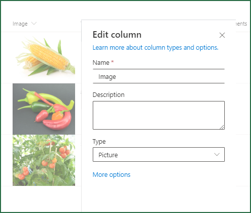 imageColumn-type.png