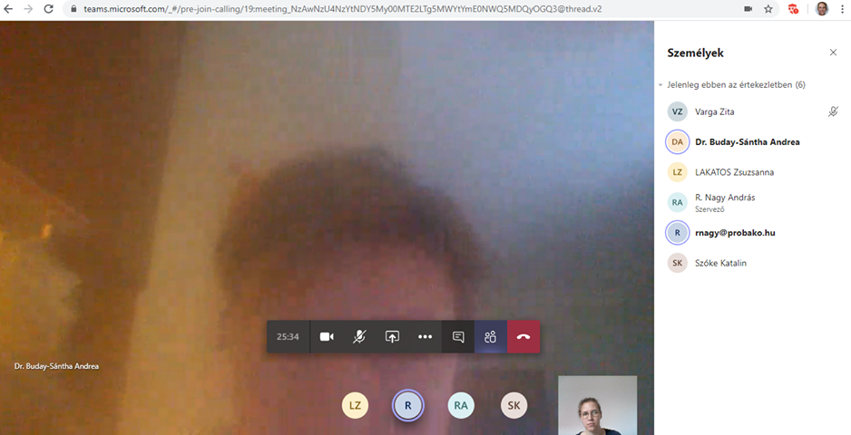 Teams chat view.png