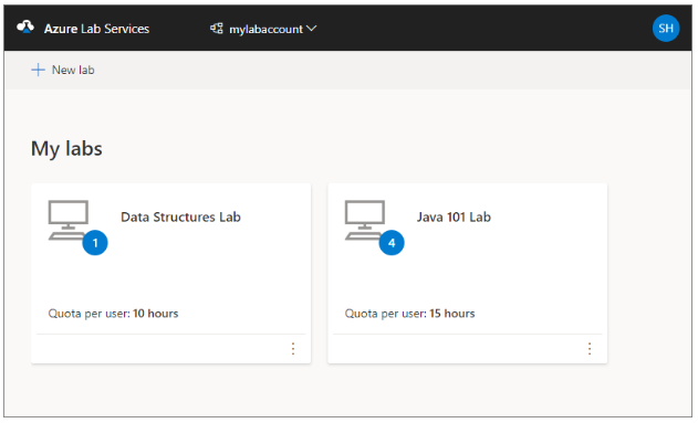 LabServices.PNG
