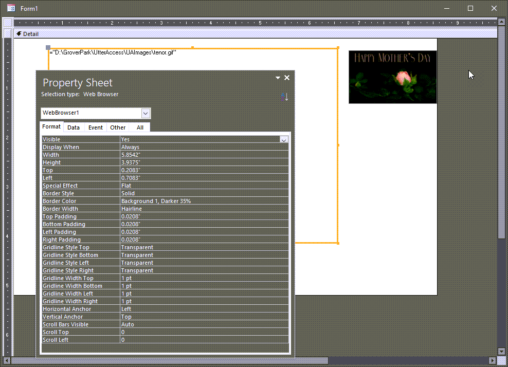 WebBrowserGIFImageControlonForm.png