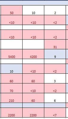 Excel formatting.JPG