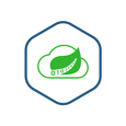 Spring Cloud Skipper Shell Container Image.png