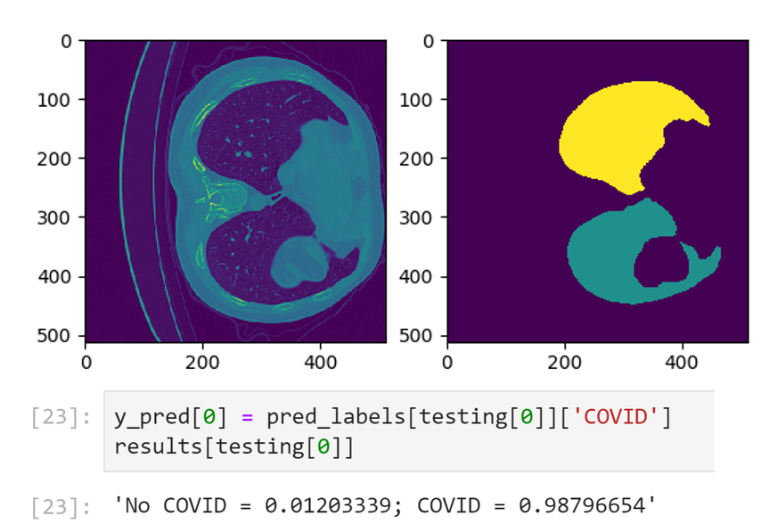 Shows annotated images classified for likelihood of COVID-19 by the fine-tuned Clara COVID-19 CT-Scan Classifier model