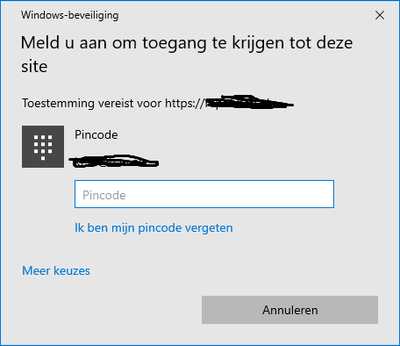 Windows security prompt with pin.png