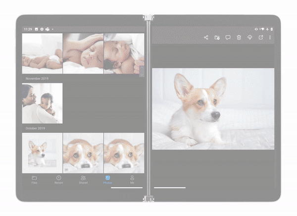 Viewing Photos.gif