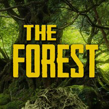 The Forest 2 Game Server on Windows Server 2016.png