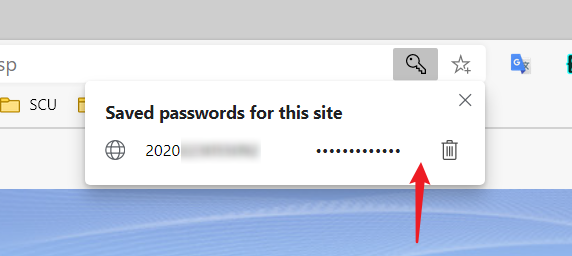 Add a button to display the saved password in the address bar ...