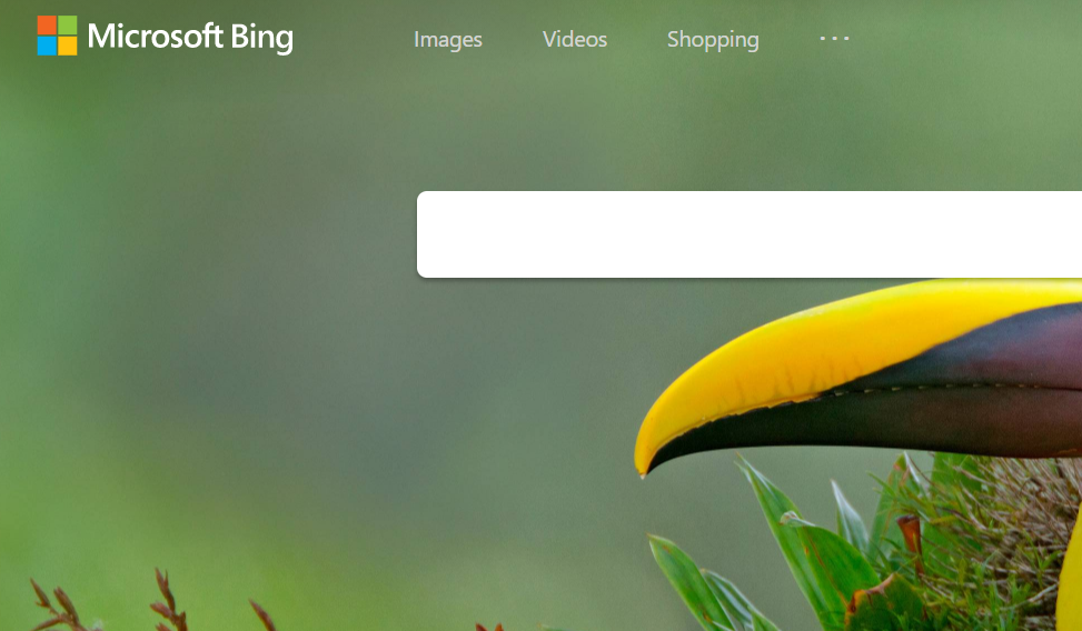 Microsoft Bing.png