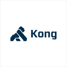 Kong Mesh 1.1.png