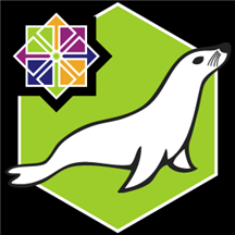 MariaDB 10.5 on Linux CentOS 8.2.png