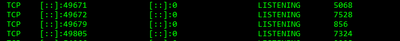 Gohulan_3-1610979128312.png