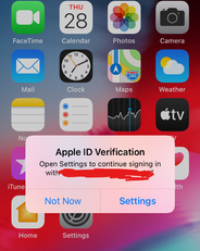 Screenshot 2021-01-28 192040.png