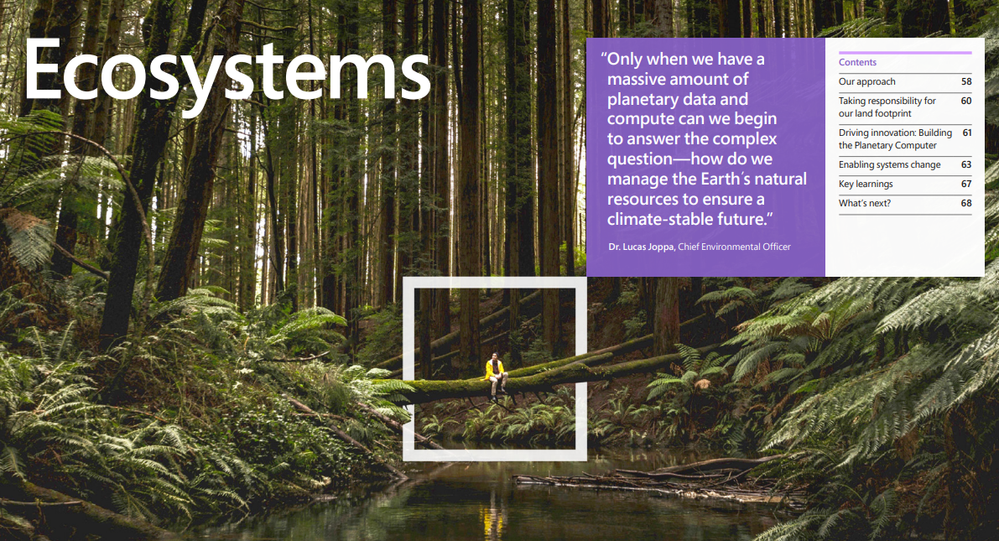ecosystems.PNG