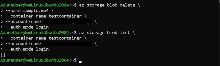 10. DeleteBlob.jpg