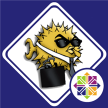 SFTP - OpenSSH FTP Server on CentOS 7.8.png