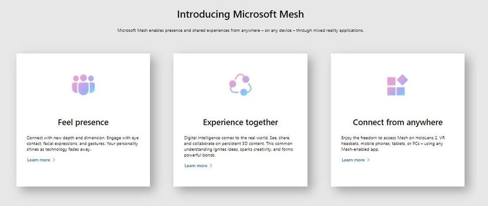 intromesh.JPG