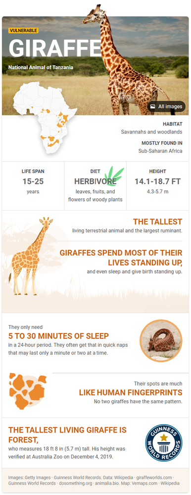 Knowledge Card - Giraffe.png