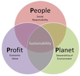 Triple Bottom Line Image.jpeg