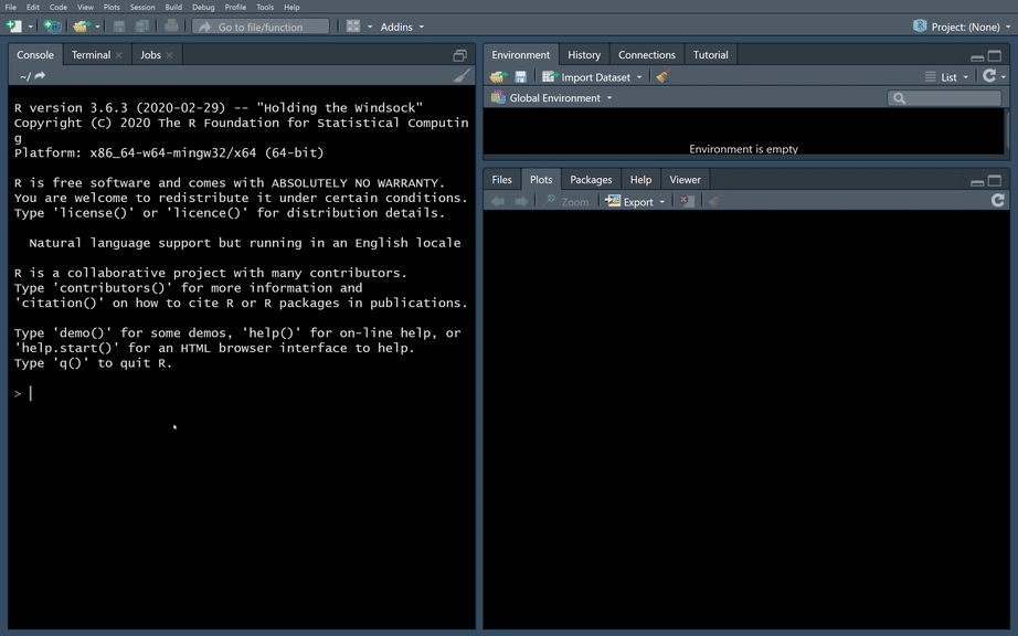 r-package-2.gif