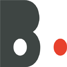 Blindspot Optiroute.png