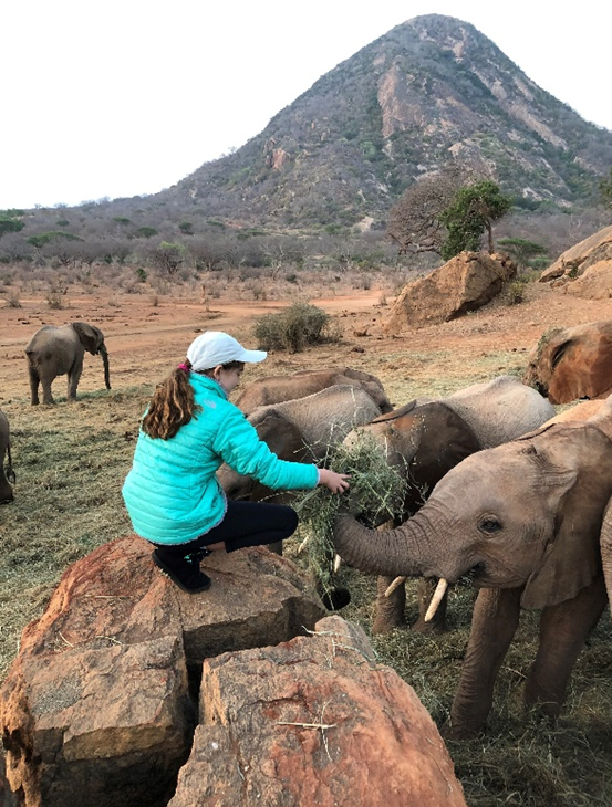 p15-kate-elephants.png