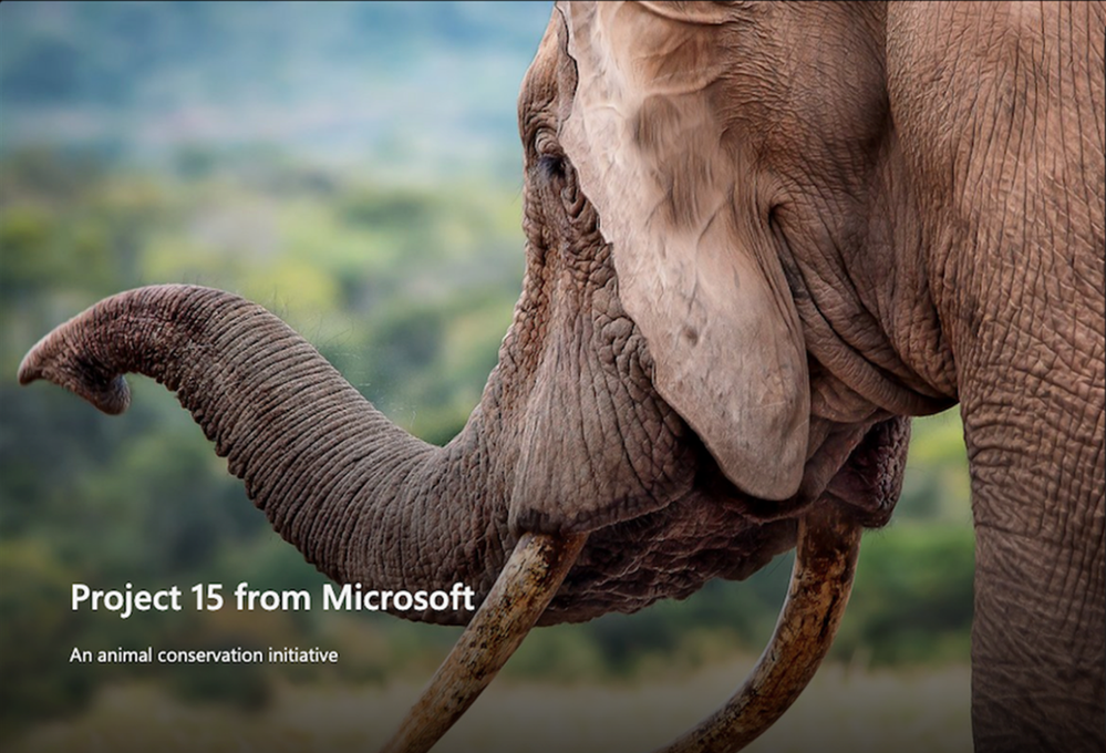 MicrosoftTeams-image (8).png