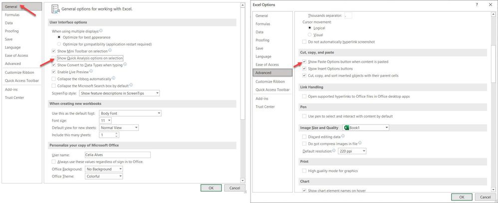 Disable Quick Analysis Options + activate fill series button.jpg
