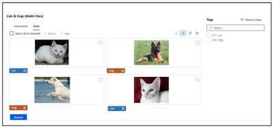 Vijai_Kannan_1-1622221112476.png