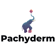 Pachyderm logo.png