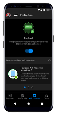 Web Protection.png