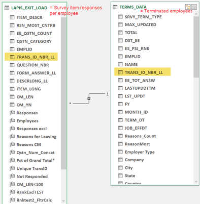 ExitSurvey_PQ4_PowerPivot_DataModel.png