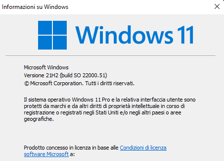Windows Information (winver) Windows Version.png